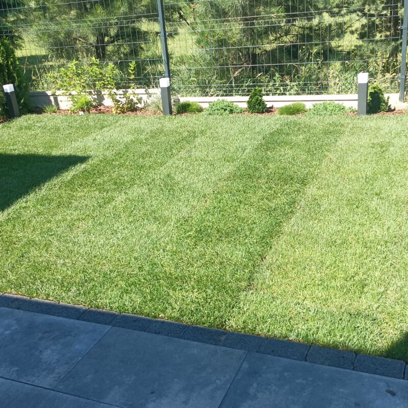 Pięknie rozłożona trawa w rolce premium w ogrodzie na Śląsku.