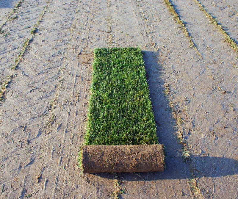 Jedna rolka trawy z rolki Premium częściowo rozwinięta na pustym polu.