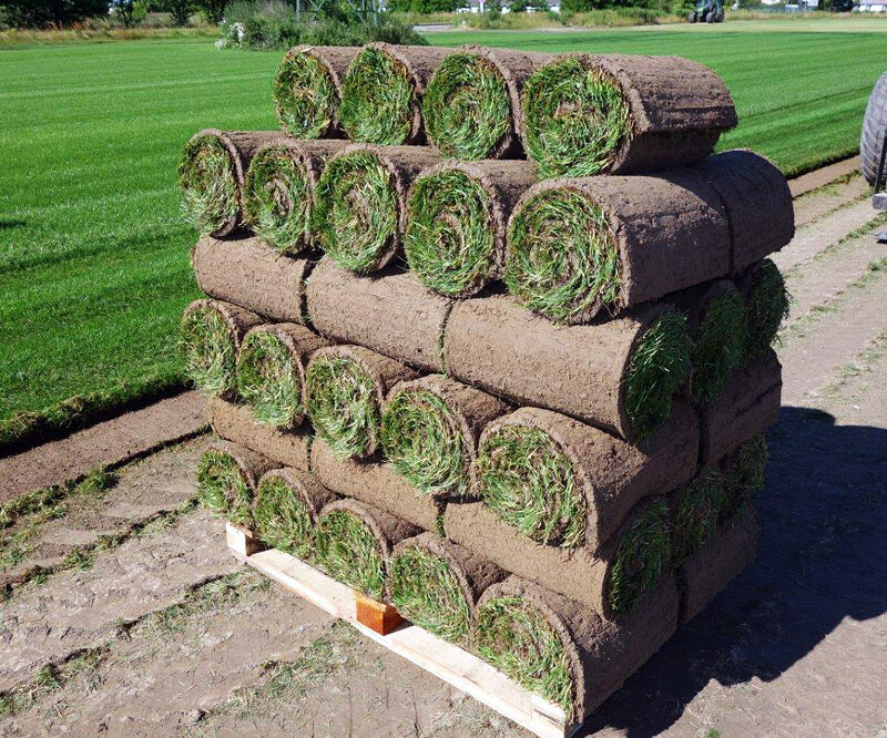 Paleta trawy z rolki premium na polu gdzie została ścięta.