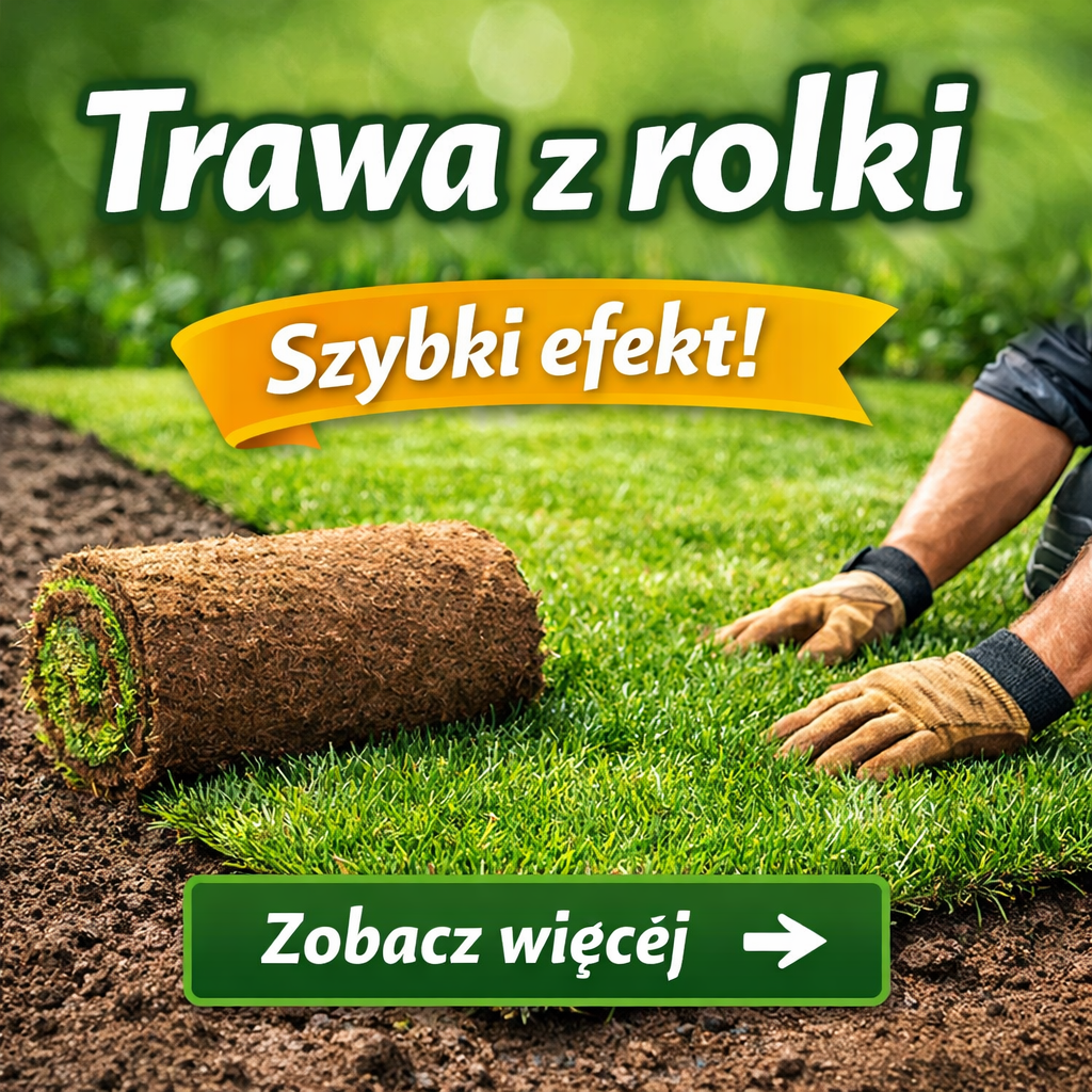 Wymarzony trawnik – układanie trawy z rolki na przygotowanym podłożu, szybki efekt zielonej i gęstej murawy w ogrodzie.